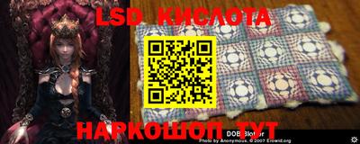 крисы Вышний Волочёк