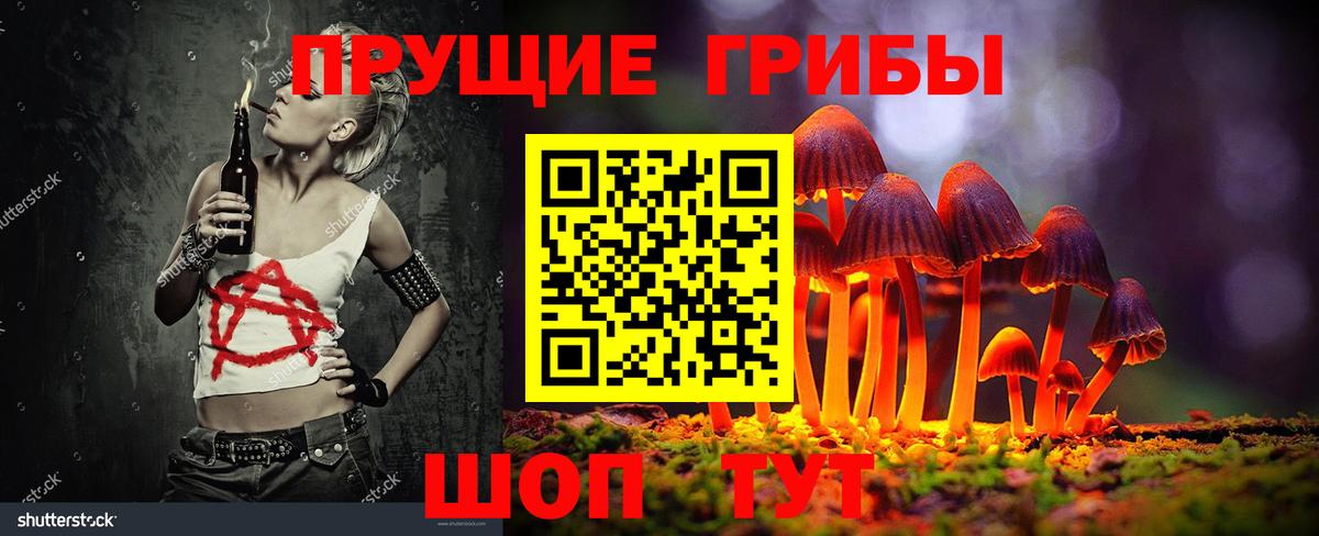 Тимашёвск  Псилоцибиновые грибы мухоморы  Вход с VPN 